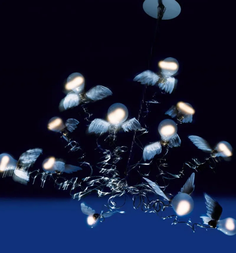Sale Birdie lysekrone, transparent ledning Spisebordslamper|Moderne Lysekrone
