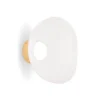 Online Melt Surface mini væglampe / loftlampe, opal/guld Hvide Lamper|Entre Lamper